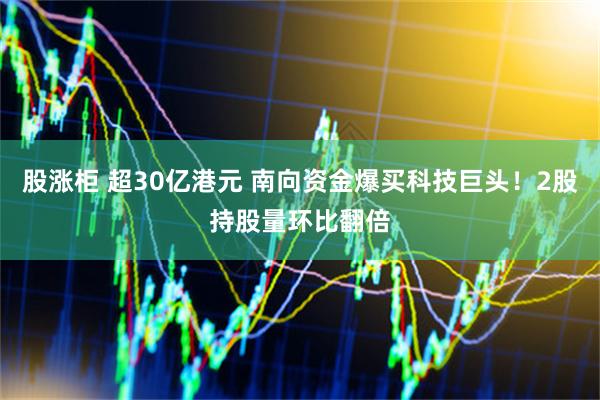 股涨柜 超30亿港元 南向资金爆买科技巨头！2股持股量环比翻倍
