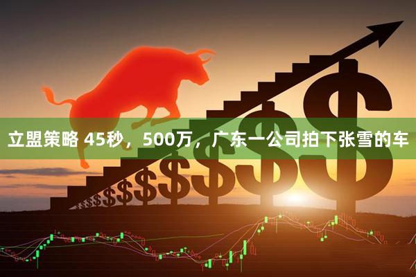 立盟策略 45秒，500万，广东一公司拍下张雪的车