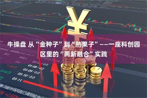 牛操盘 从“金种子”到“熟果子”——一座科创园区里的“两新融合”实践