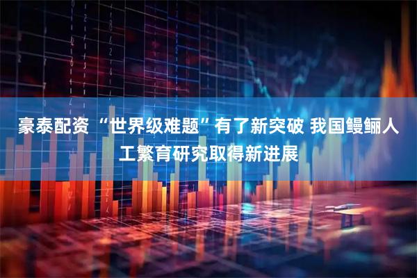 豪泰配资 “世界级难题”有了新突破 我国鳗鲡人工繁育研究取得新进展